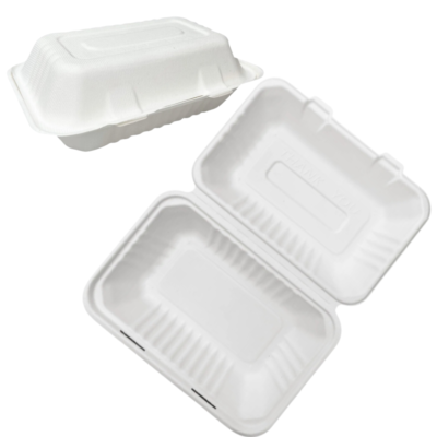 Bagasse 1 Compartment Folding Take Out Container - 9'' x 6'' x 3''